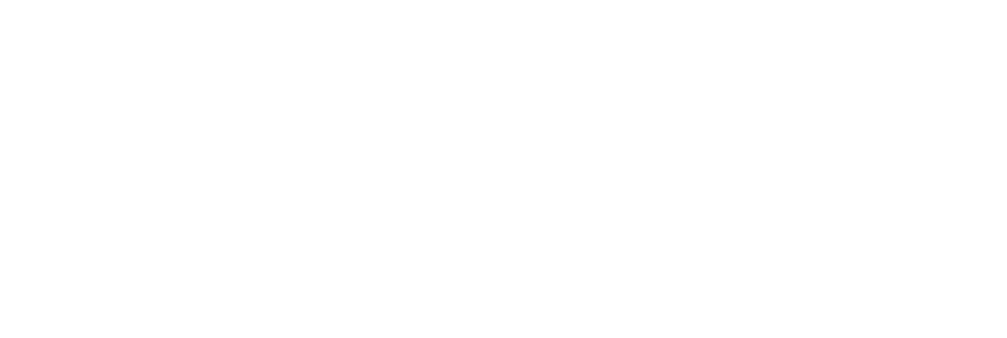 Dressage Extensions